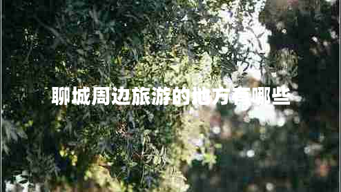 聊城周邊旅游的地方有哪些