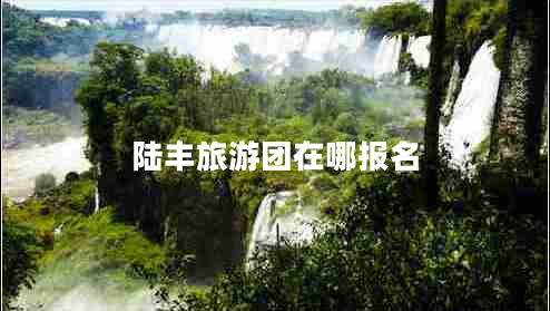 陸豐旅游團在哪報名