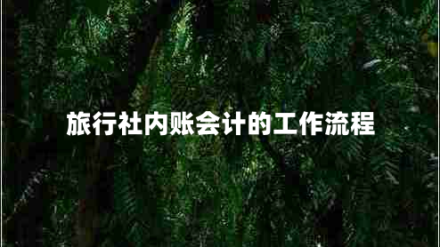 旅行社內賬會(huì )計的工作流程