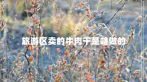 旅游區賣(mài)的牛肉干是啥做的