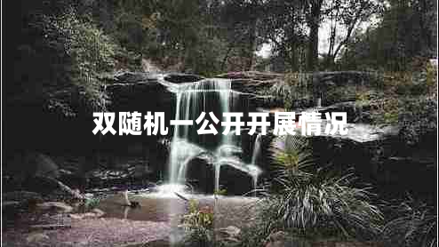 雙隨機一公開(kāi)開(kāi)展情況