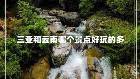 三亞和云南哪個(gè)景點(diǎn)好玩的多
