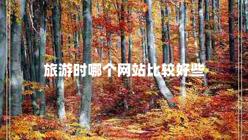 旅游時(shí)哪個(gè)網(wǎng)站比較好些