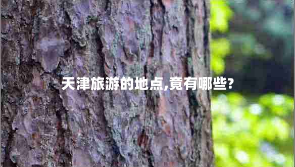 天津旅游的地點,竟有哪些?