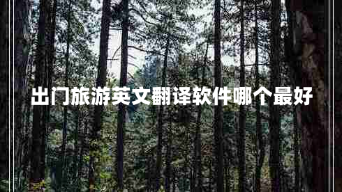出門(mén)旅游英文翻譯軟件哪個(gè)最好