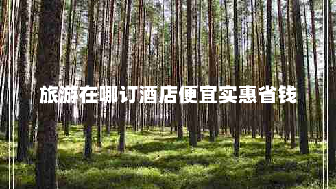 旅游在哪訂酒店便宜實(shí)惠省錢(qián)