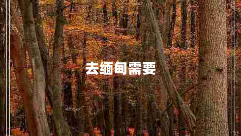 去緬甸需要