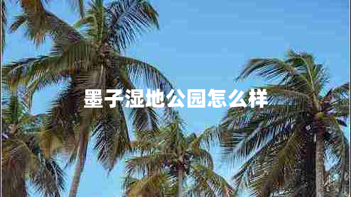 墨子濕地公園怎么樣
