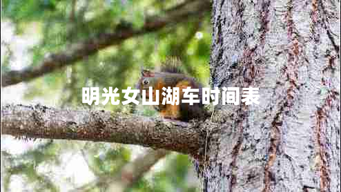 明光女山湖車(chē)時(shí)間表