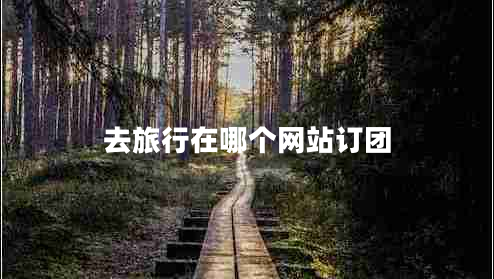去旅行在哪個(gè)網(wǎng)站訂團
