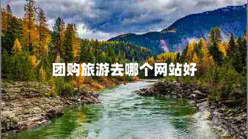 團購旅游去哪個(gè)網(wǎng)站好