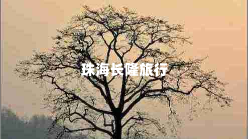 珠海長(cháng)隆旅行