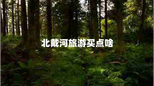 北戴河旅游買(mǎi)點(diǎn)啥