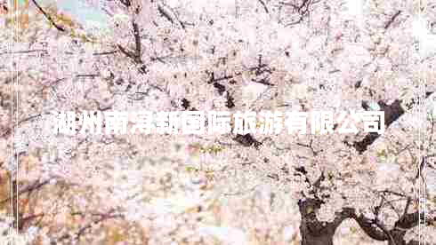 湖州南潯新國際旅游有限公司