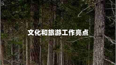 文化和旅游工作亮點(diǎn)