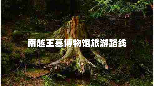 南越王墓博物館旅游路線(xiàn)