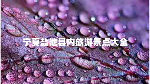 寧夏鹽池縣內旅游景點(diǎn)大全