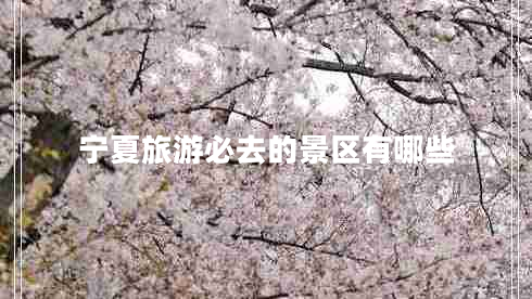 寧夏旅游必去的景區有哪些