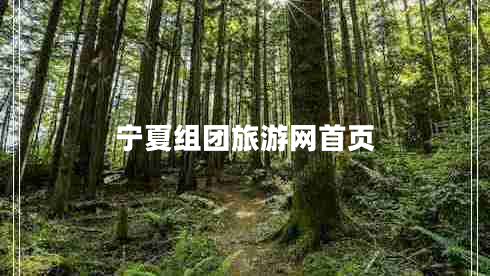 寧夏組團旅游網(wǎng)首頁(yè)