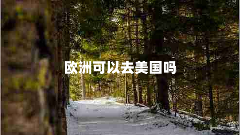 歐洲可以去美國嗎