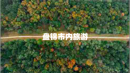 盤(pán)錦市內旅游