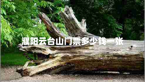 濮陽(yáng)云臺山門(mén)票多少錢(qián)一張