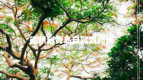 德州到青島自駕游路線(xiàn)