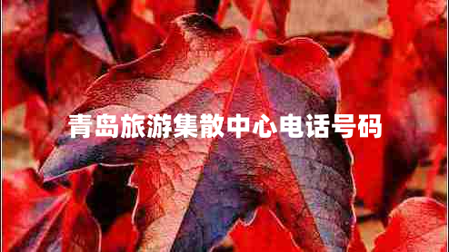 青島旅游集散中心電話(huà)號碼
