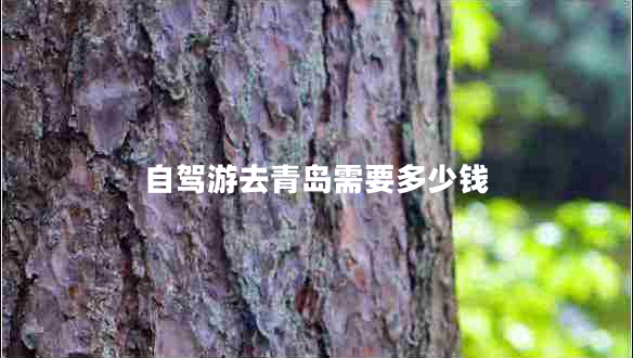 自駕游去青島需要多少錢(qián)