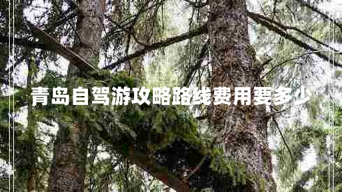 青島自駕游攻略路線(xiàn)費用要多少
