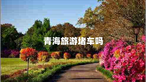 青海旅游堵車(chē)嗎