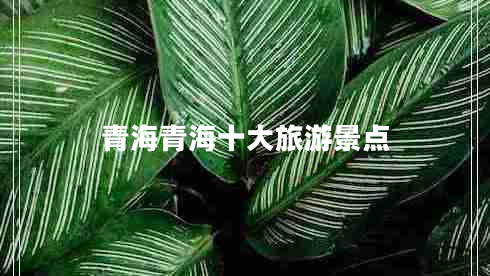 青海青海十大旅游景點(diǎn)