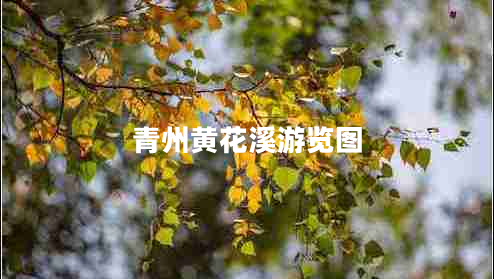 青州黃花溪游覽圖