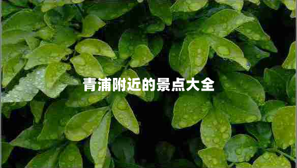 青浦附近的景點(diǎn)大全