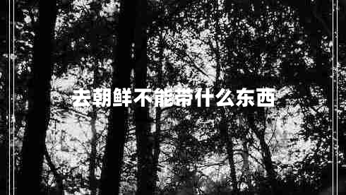 去朝鮮不能帶什么東西
