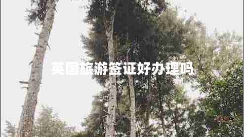 英國旅游簽證好辦理嗎