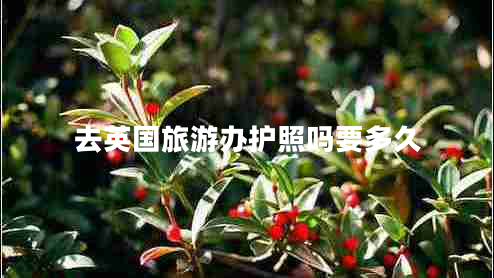 去英國旅游辦護照嗎要多久