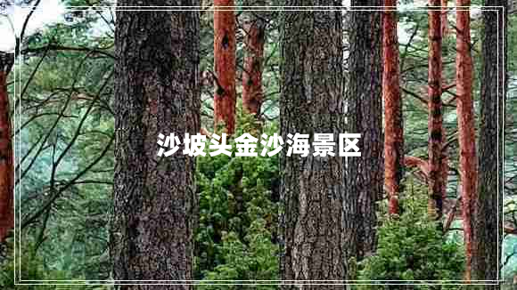 沙坡頭金沙海景區
