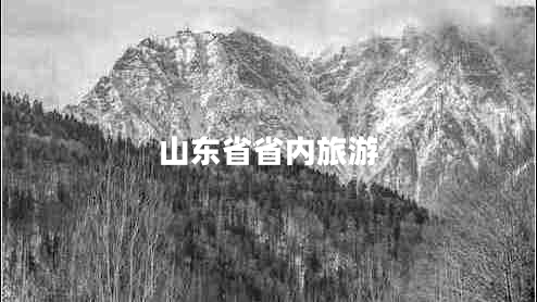 山東省省內旅游