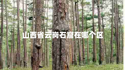 山西省云崗石窟在哪個(gè)區