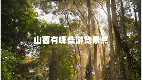 山西有哪些游覽景點(diǎn)