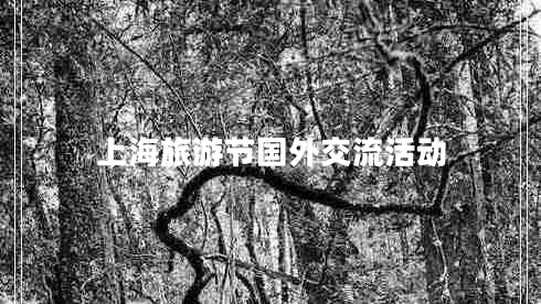 上海旅游節國外交流活動(dòng)