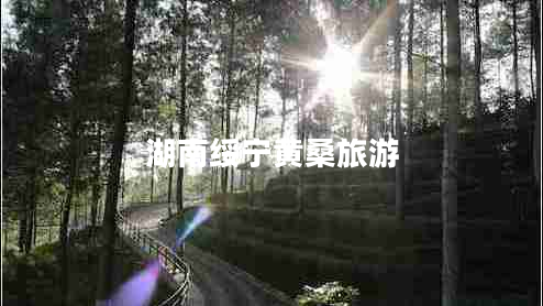 湖南綏寧黃桑旅游