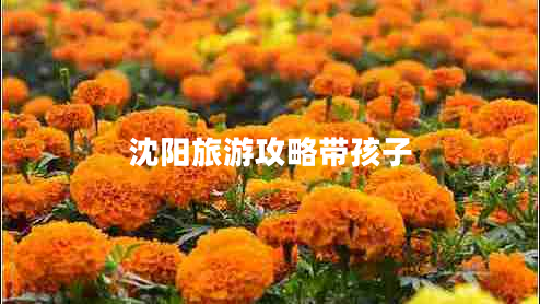 沈陽(yáng)旅游攻略帶孩子