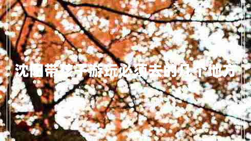 沈陽(yáng)帶孩子游玩必須去的幾個(gè)地方