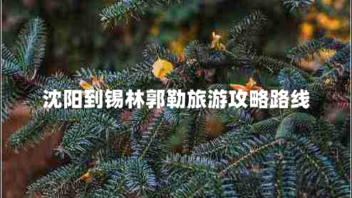沈陽(yáng)到錫林郭勒旅游攻略路線(xiàn)