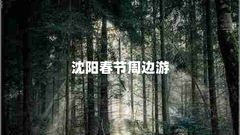 沈陽(yáng)春節周邊游