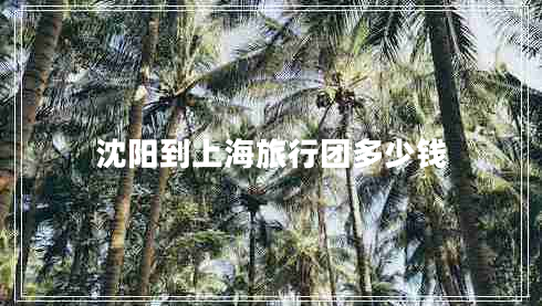 沈陽(yáng)到上海旅行團多少錢(qián)