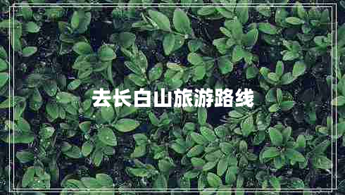 去長(cháng)白山旅游路線(xiàn)