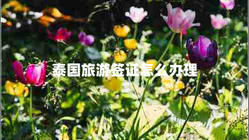 泰國旅游簽證怎么辦理